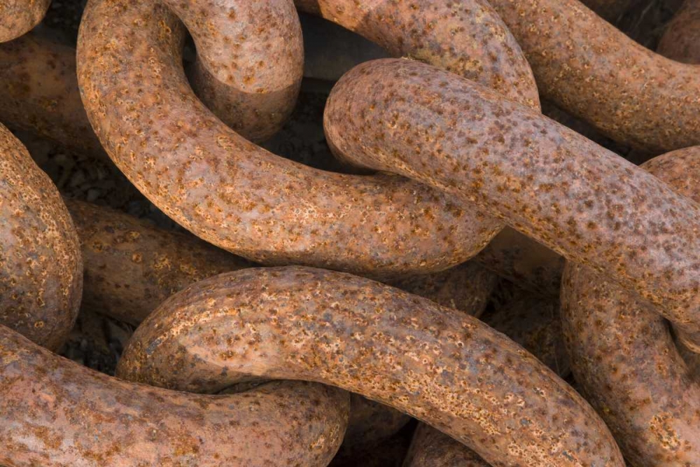 South Georgia Island, Grytviken Rusty chain art print by Don Paulson for $57.95 CAD