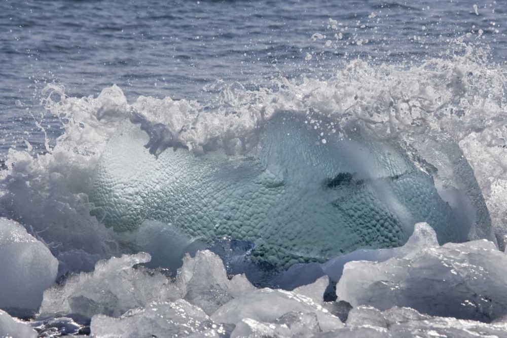 South Georgia Isl, Wirik Bay Wave on the beach art print by Don Paulson for $57.95 CAD