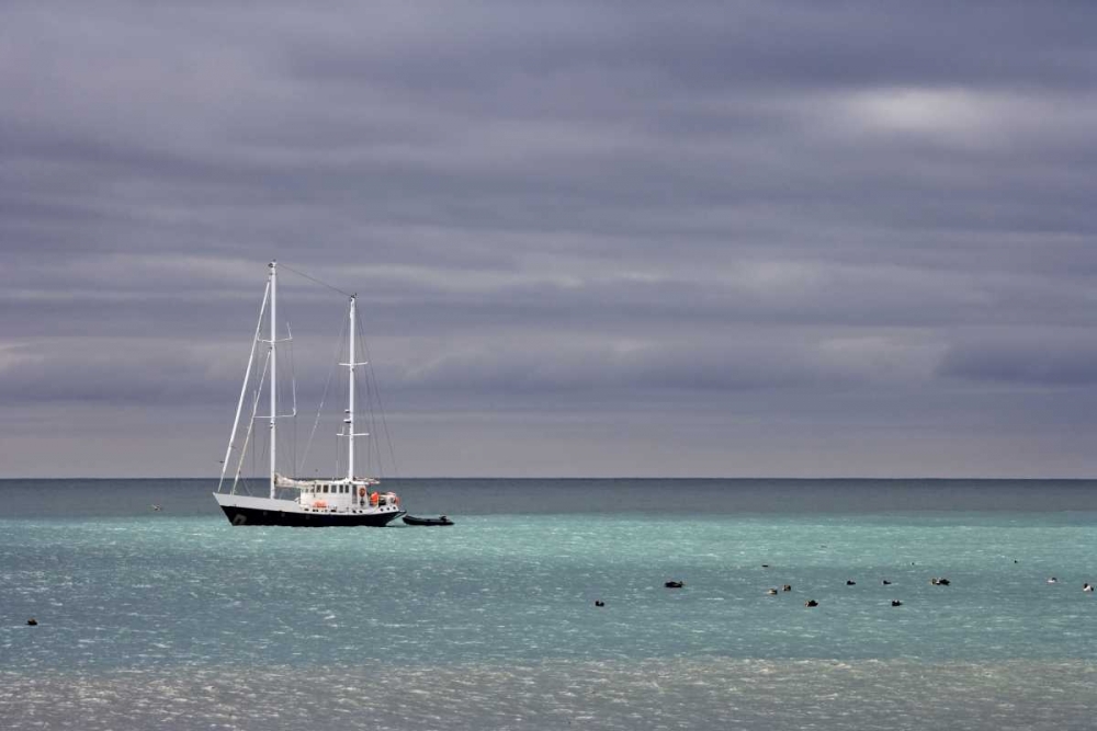 South Georgia Isl Sailing yacht anchored in bay art print by Don Paulson for $57.95 CAD