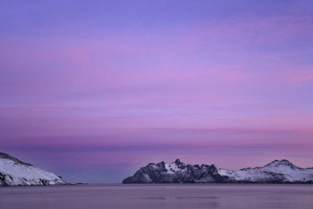 South Georgia Island, Leith Harbor Pink Sunrise art print by Don Paulson for $57.95 CAD