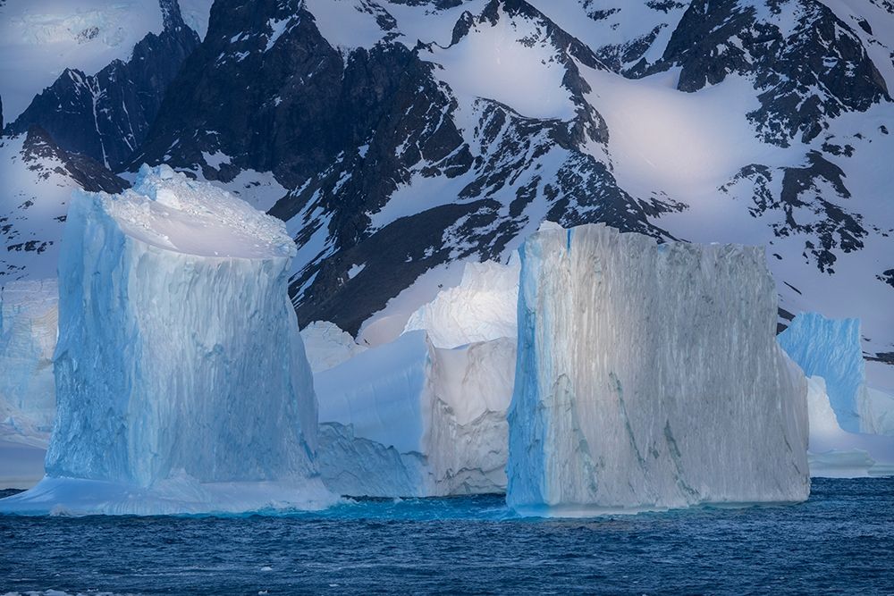 Antarctica-South Georgia Island-Coopers Bay Icebergs and mountains at sunrise art print by Jaynes Gallery for $57.95 CAD