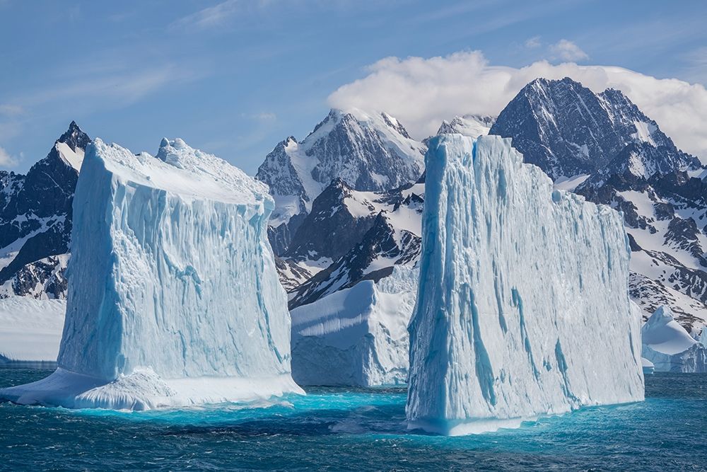 Antarctica-South Georgia Island-Coopers Bay Landscape with icebergs and mountains art print by Jaynes Gallery for $57.95 CAD