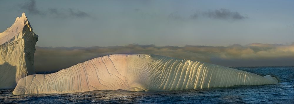Antarctica-South Georgia Island-Coopers Bay Iceberg shaped like elephant seal at sunrise art print by Jaynes Gallery for $57.95 CAD