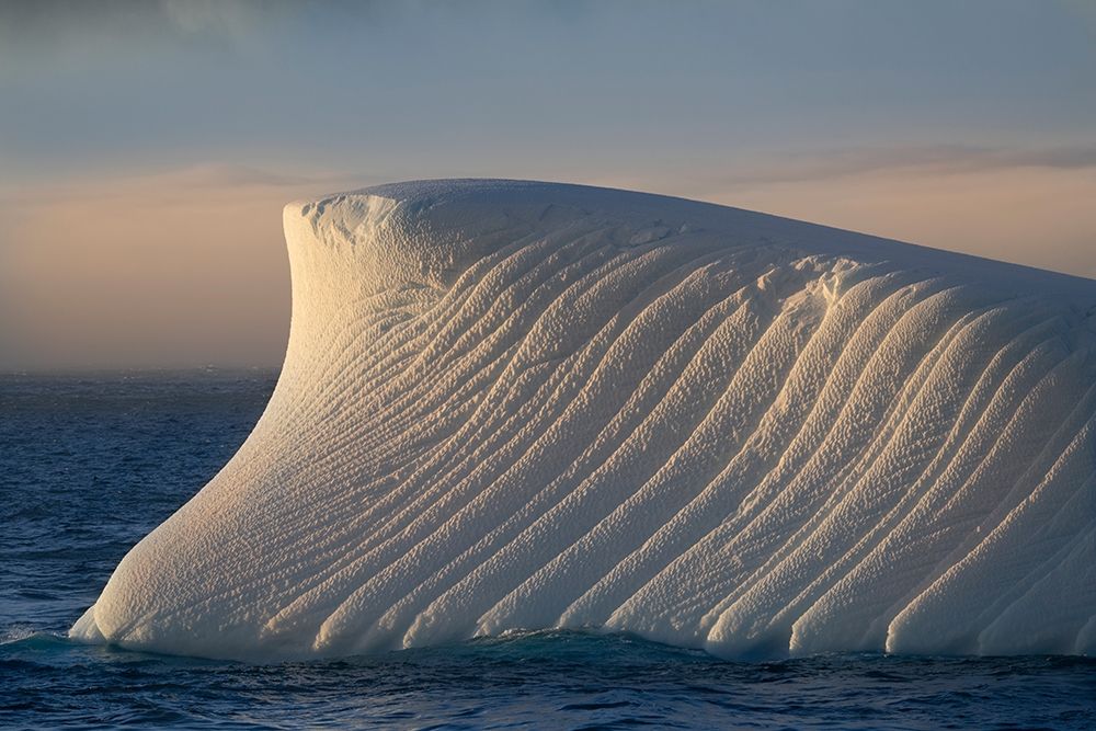Antarctica-South Georgia Island-Coopers Bay Iceberg at sunrise art print by Jaynes Gallery for $57.95 CAD