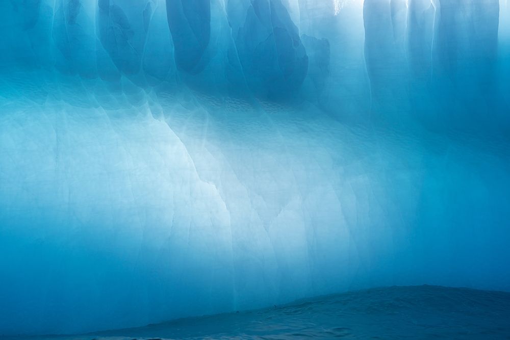 Antarctica-South Georgia Island-Gold Harbor Blue iceberg close-up art print by Jaynes Gallery for $57.95 CAD