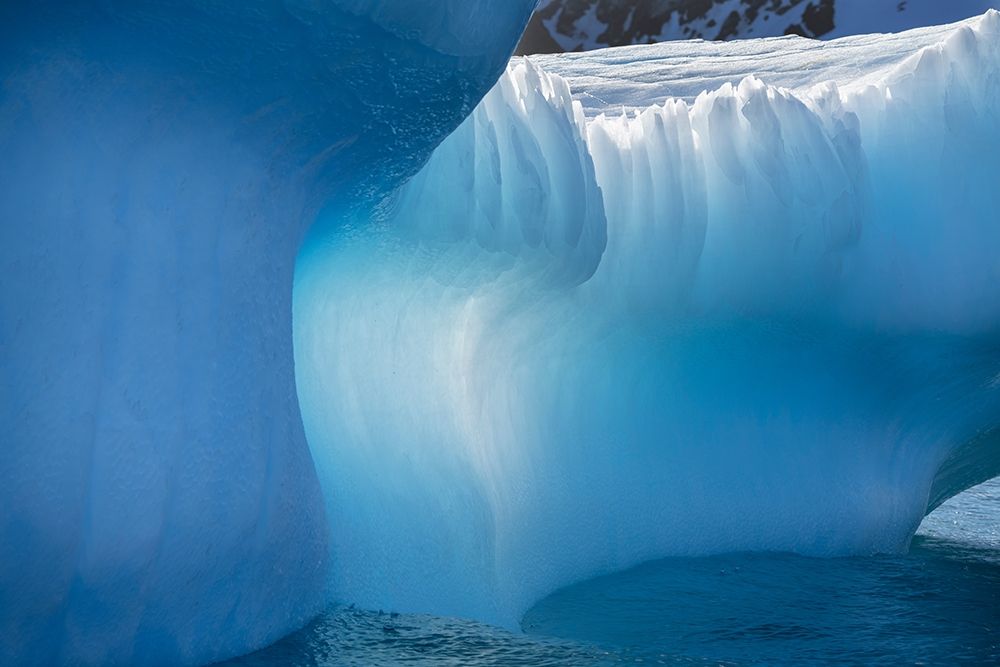 Antarctica-South Georgia Island-Gold Harbor Blue iceberg close-up art print by Jaynes Gallery for $57.95 CAD