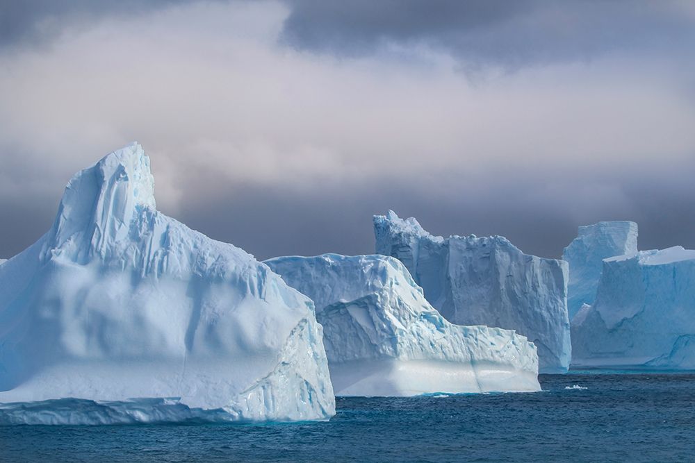 Antarctica-South Georgia Island-Coopers Bay Icebergs at sunrise art print by Jaynes Gallery for $57.95 CAD