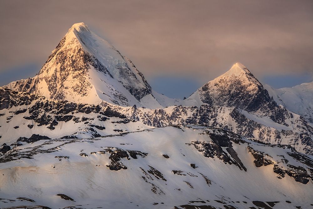 Antarctica-South Georgia Island-St Andrews Bay Spring sunrise on mountain art print by Jaynes Gallery for $57.95 CAD