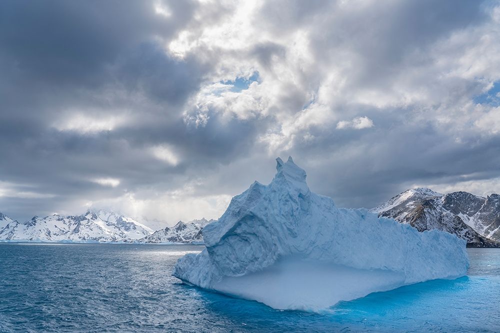 Antarctica-South Georgia Island Landscape with iceberg and mountains art print by Jaynes Gallery for $57.95 CAD