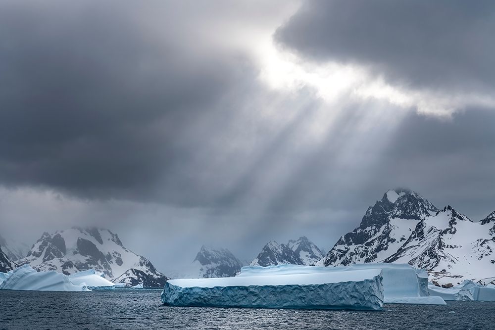 Antarctica-South Georgia Island Sunbeams light up icebergs art print by Jaynes Gallery for $57.95 CAD