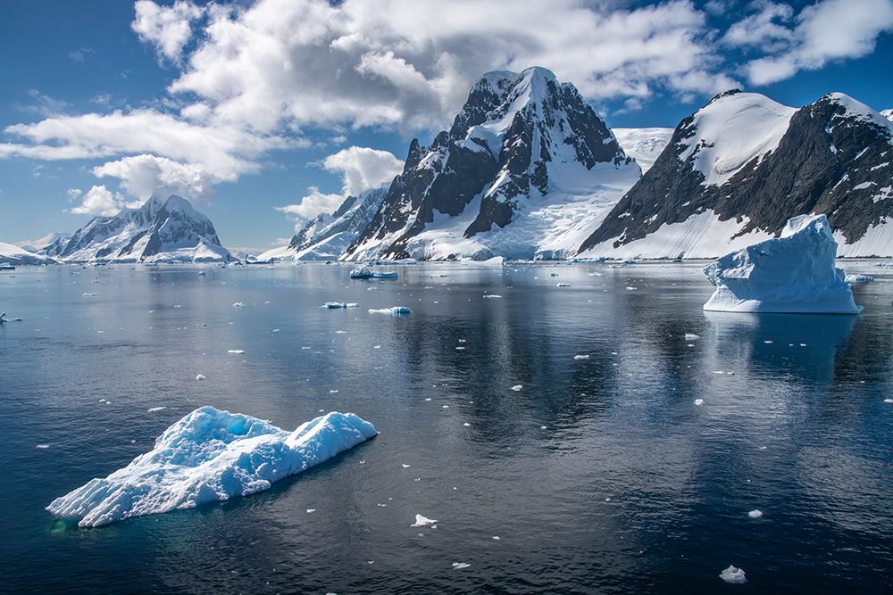 Antarctica. Landscape with mountain, icebergs and glacier. art print by Jaynes Gallery for $57.95 CAD
