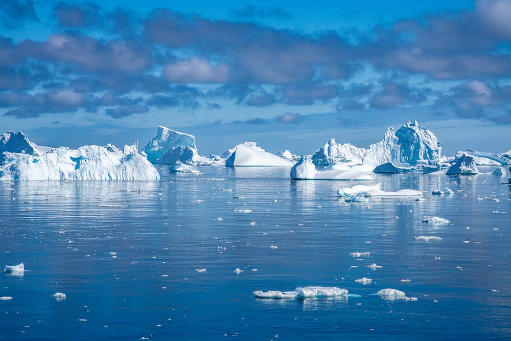 Antarctica. Landscape with ocean and icebergs. art print by Jaynes Gallery for $57.95 CAD