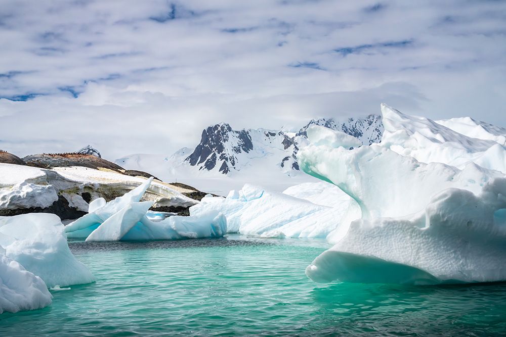 Antarctica. Landscape with mountain and icebergs. art print by Jaynes Gallery for $57.95 CAD