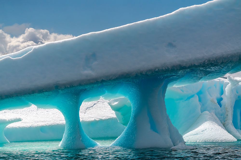 Antarctica, Yalour Islands. Glacier shapes and ocean. art print by Jaynes Gallery for $57.95 CAD