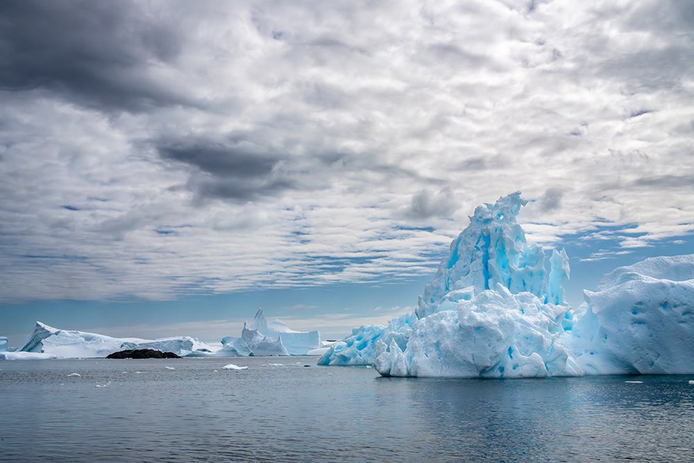 Antarctica, Yalour Islands. Landscape with icebergs and ocean. art print by Jaynes Gallery for $57.95 CAD