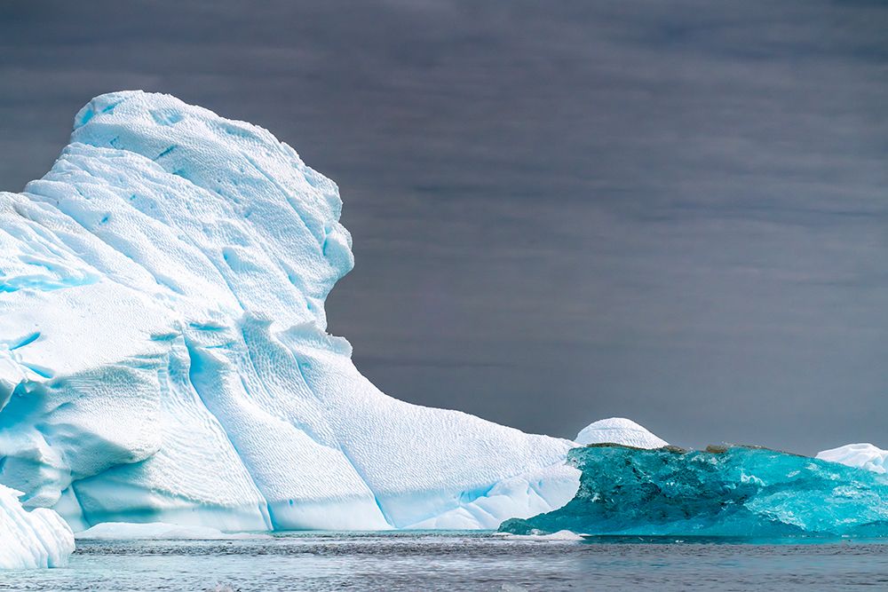 Antarctica, Yalour Islands. Landscape with icebergs and ocean. art print by Jaynes Gallery for $57.95 CAD