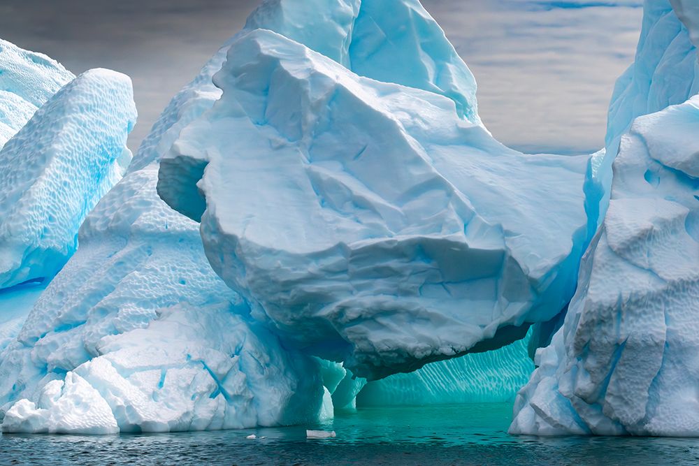 Antarctica, Yalour Islands. Close-up of icebergs. art print by Jaynes Gallery for $57.95 CAD