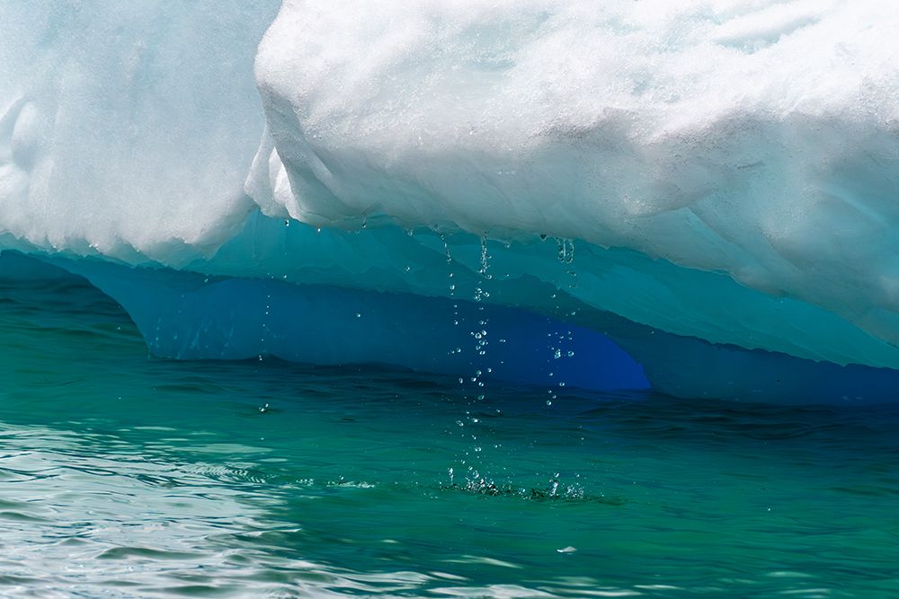 Antarctica, Yalour Islands. Close-up of melting iceberg. art print by Jaynes Gallery for $57.95 CAD