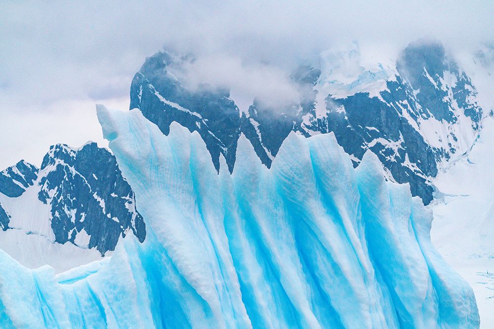 Antarctica, Cuverville Island. Close-up of iceberg. art print by Jaynes Gallery for $57.95 CAD