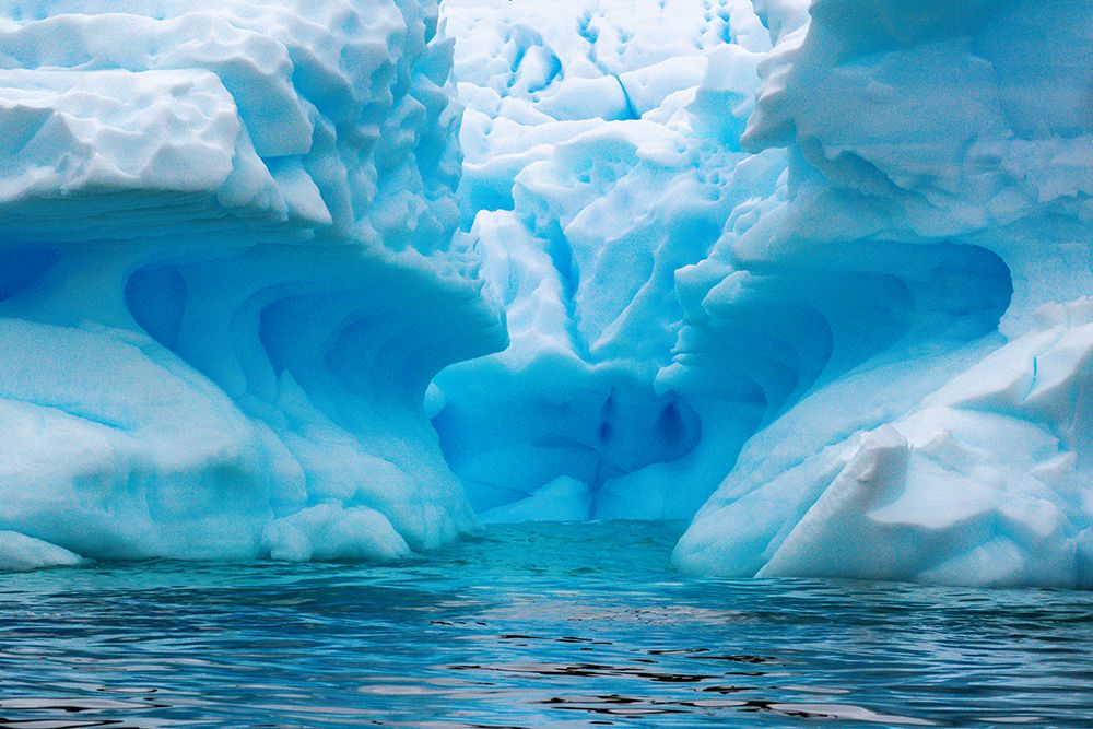 Antarctica, Cuverville Island. Close-up of iceberg. art print by Jaynes Gallery for $57.95 CAD