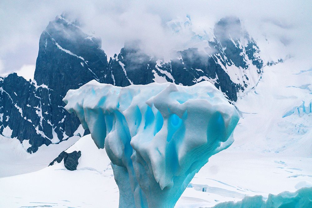 Antarctica, Cuverville Island. Close-up of iceberg. art print by Jaynes Gallery for $57.95 CAD