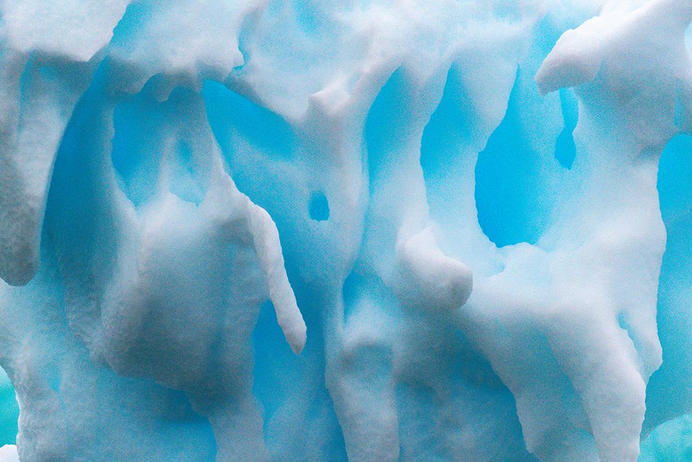 Antarctica, Cuverville Island. Close-up of iceberg. art print by Jaynes Gallery for $57.95 CAD