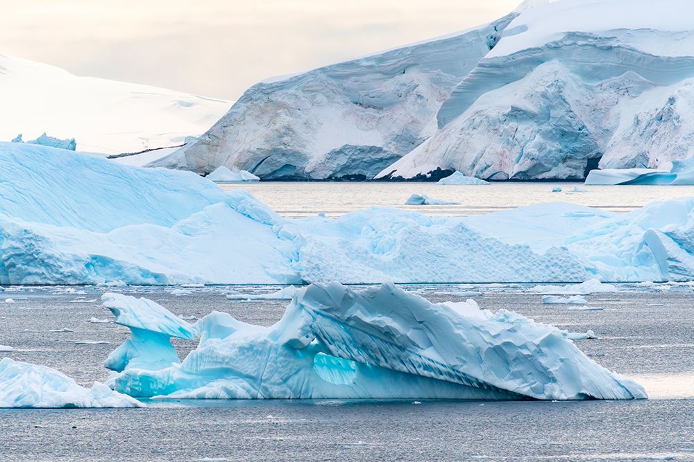 Antarctica, Andvord Bay, Neko Harbour. Landscape with icebergs. art print by Jaynes Gallery for $57.95 CAD