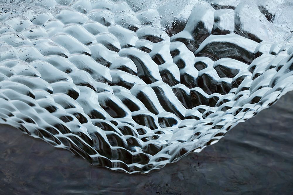Antarctica-Southern Ocean-South Orkney Islands. Ice detail. art print by Cindy Miller Hopkins for $57.95 CAD