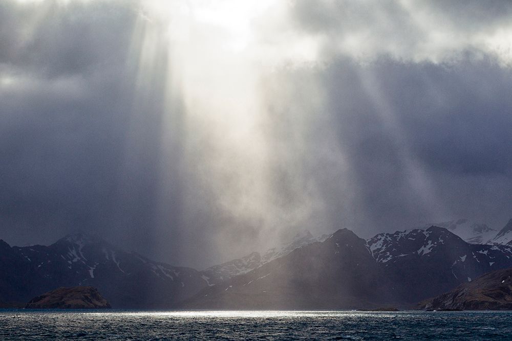 Southern Ocean-South Georgia-King Edward Cove-Grytviken art print by Ellen Goff for $57.95 CAD