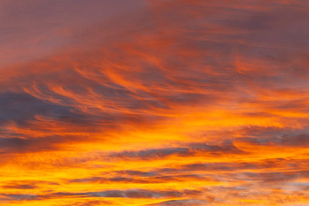 Southern Ocean-South Georgia-Sunset at South Georgia art print by Ellen Goff for $57.95 CAD