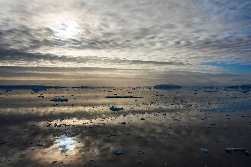 Floating ice on South Atlantic Ocean-Antarctica art print by Keren Su for $57.95 CAD