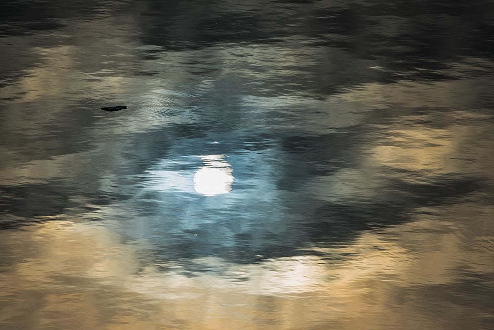 Floating ice on South Atlantic Ocean-Antarctica art print by Keren Su for $57.95 CAD