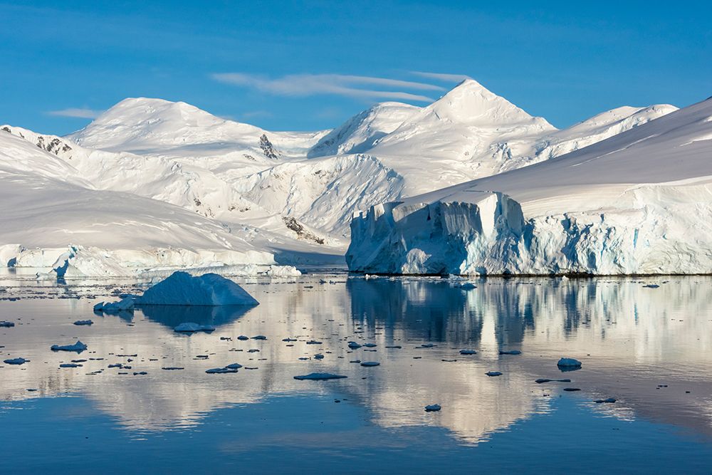 Snow covered island and iceberg with reflection in South Atlantic Ocean-Antarctica art print by Keren Su for $57.95 CAD