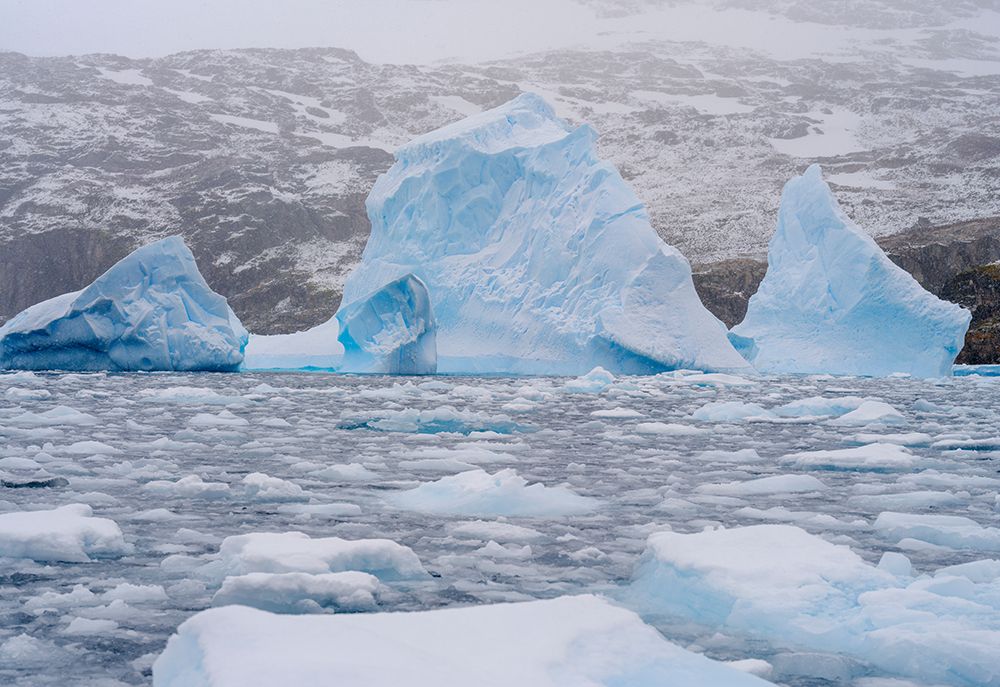 Landscape in the Cierva Cove at the Danco Coast of the Graham Land in the Antarctic Peninsula. art print by Martin Zwick for $57.95 CAD