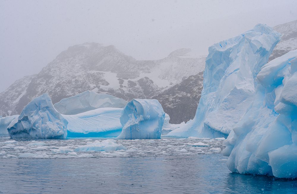 Landscape in the Cierva Cove at the Danco Coast of the Graham Land in the Antarctic Peninsula. art print by Martin Zwick for $57.95 CAD