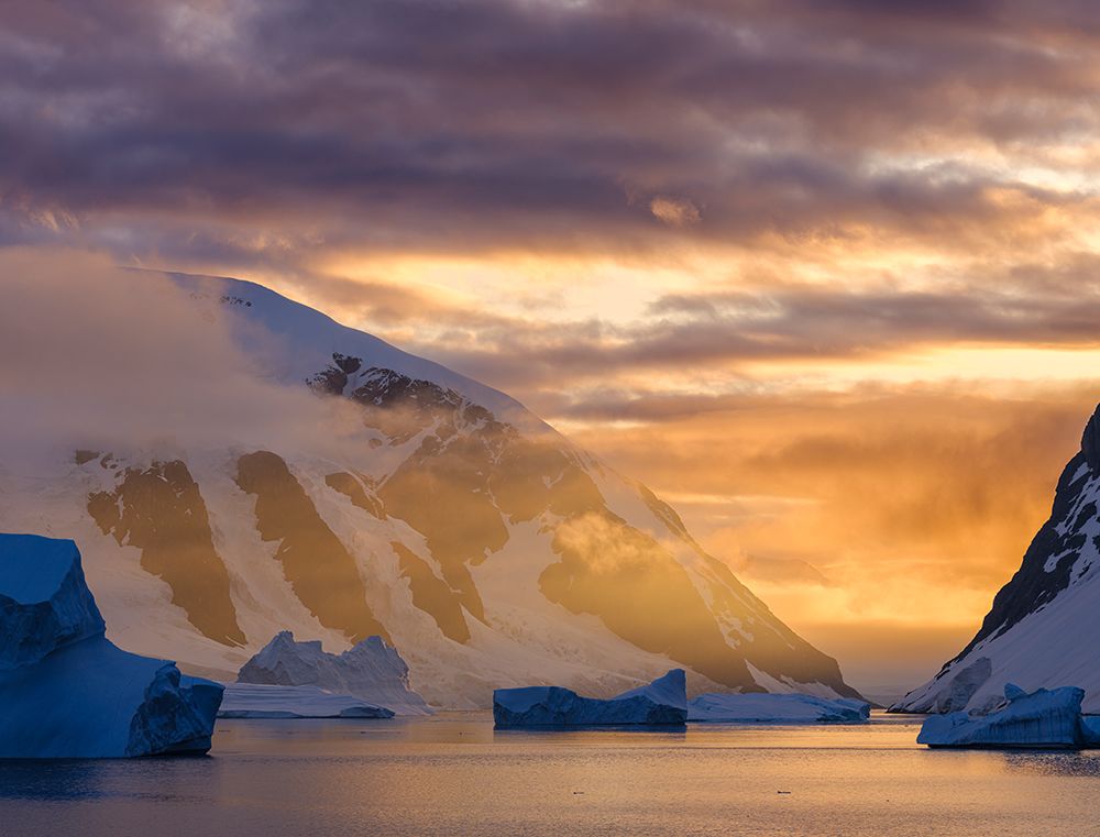 Landscape of the Arctowski Peninsula during sunset. West Antarctica, Antarctic Peninsula. art print by Martin Zwick for $57.95 CAD