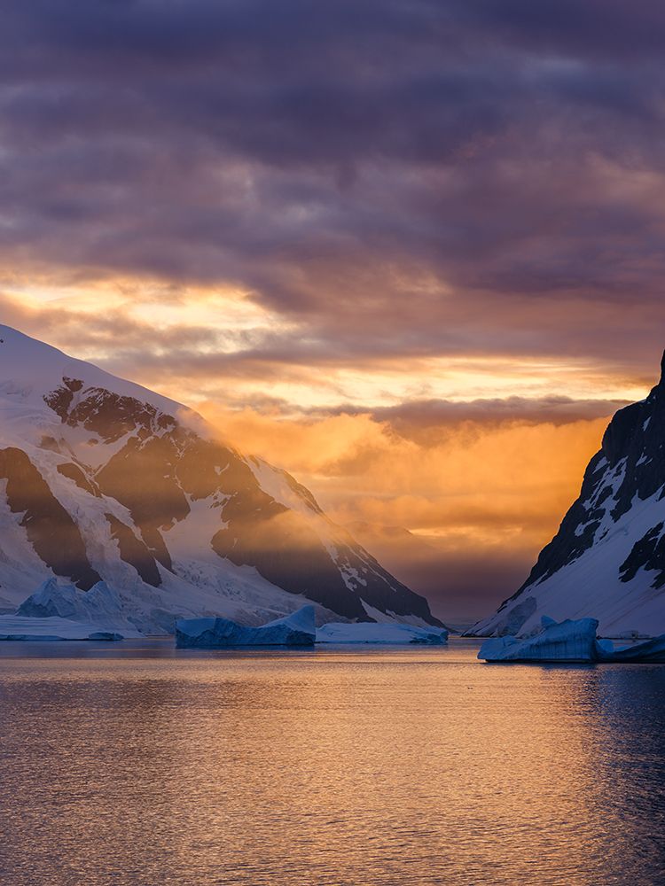 Landscape of the Arctowski Peninsula during sunset. West Antarctica, Antarctic Peninsula. art print by Martin Zwick for $57.95 CAD