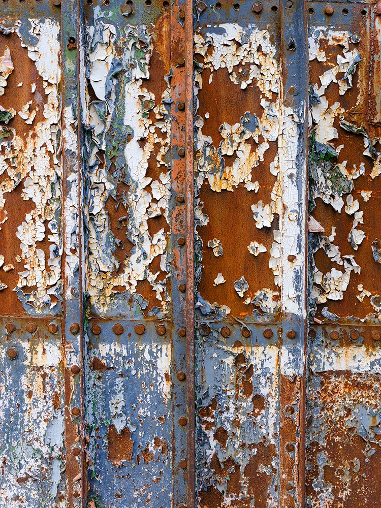 Grytviken Whaling Station. Antarctica, Subantarctic, South Georgia, Cumberland East Bay. art print by Martin Zwick for $57.95 CAD