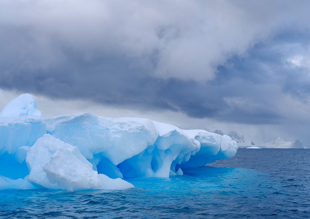 Brabant Island, Chiriguano Bay in the Palmer Archipelago in spring. Antarctica, Palmer Archipelago art print by Martin Zwick for $57.95 CAD