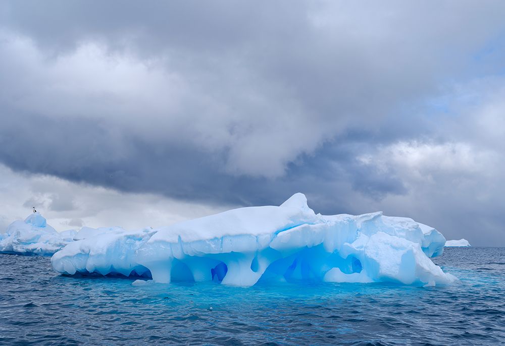 Brabant Island, Chiriguano Bay in the Palmer Archipelago in spring. Antarctica, Palmer Archipelago art print by Martin Zwick for $57.95 CAD