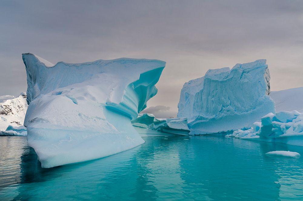 Skontorp cove-Paradise Bay-Antarctica art print by Sergio Pitamitz for $57.95 CAD