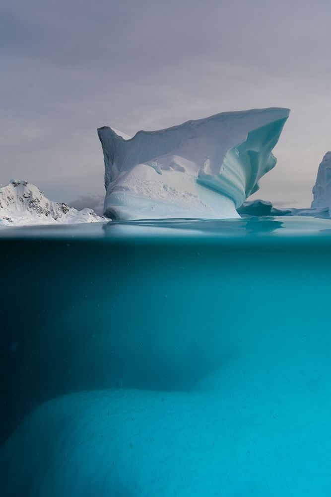 Surface view of an iceberg-Skontorp cove-Paradise Bay-Antarctica art print by Sergio Pitamitz for $57.95 CAD