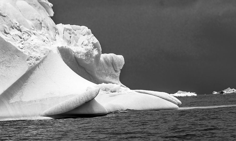 Floating blue iceberg Floating sea water Charlotte Bay-Antarctica art print by William Perry for $57.95 CAD
