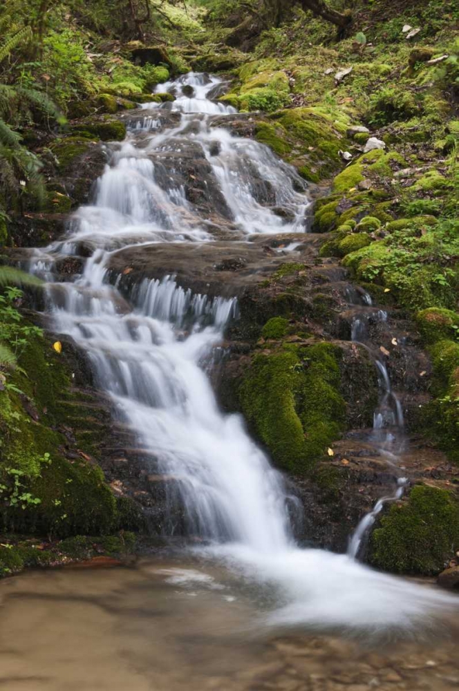 Asia, Bhutan Waterfall in central Bhutan art print by Dennis Kirkland for $57.95 CAD