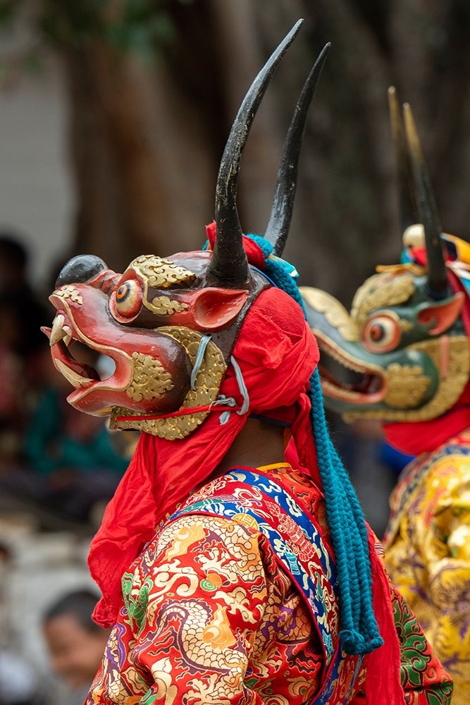 Bhutan-Punakha Dzong Punakha Drubchen Festival-masked dancers art print by Cindy Miller Hopkins for $57.95 CAD