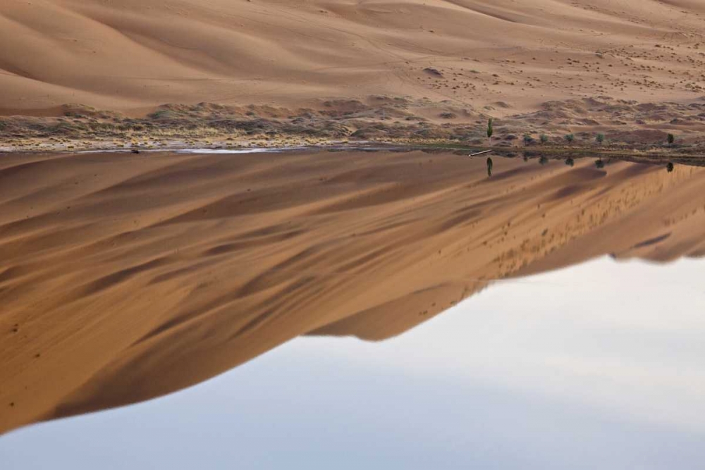China, Badain Jaran Dune and trees by a lake art print by Ellen Anon for $57.95 CAD