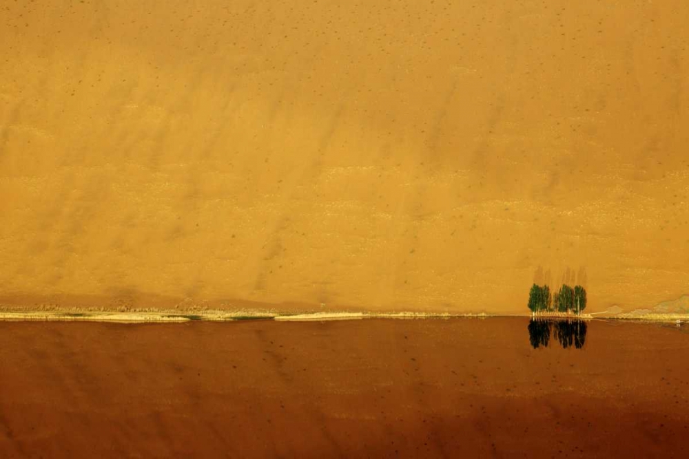 China, Badain Jaran Dune and trees by a lake art print by Ellen Anon for $57.95 CAD