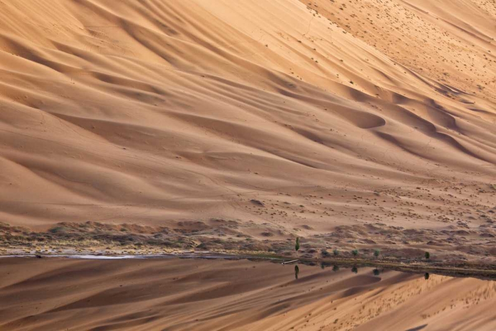 China, Badain Jaran Dune and trees by a lake art print by Ellen Anon for $57.95 CAD