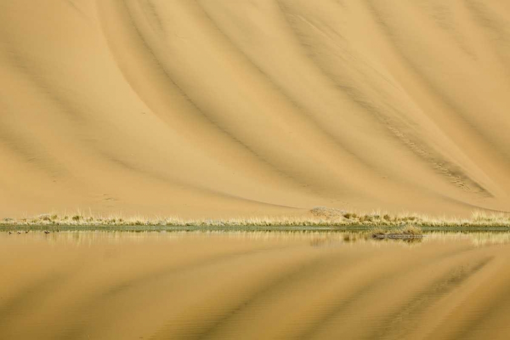 China, Badain Jaran Desert Dune patterns art print by Ellen Anon for $57.95 CAD