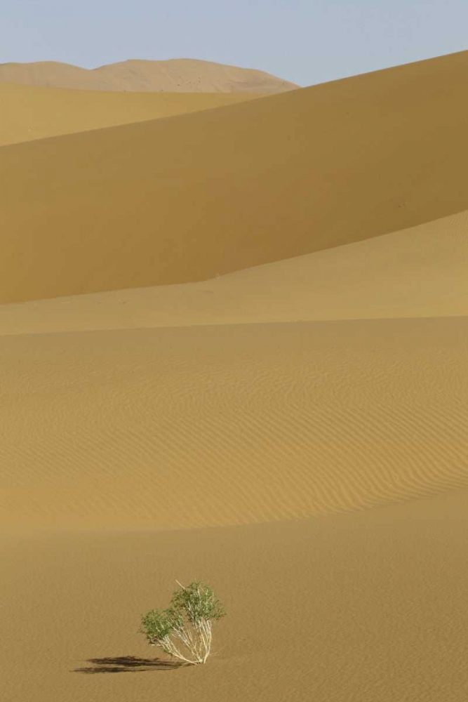 China, Gansu Province Badain Jaran Desert art print by Josh Anon for $57.95 CAD